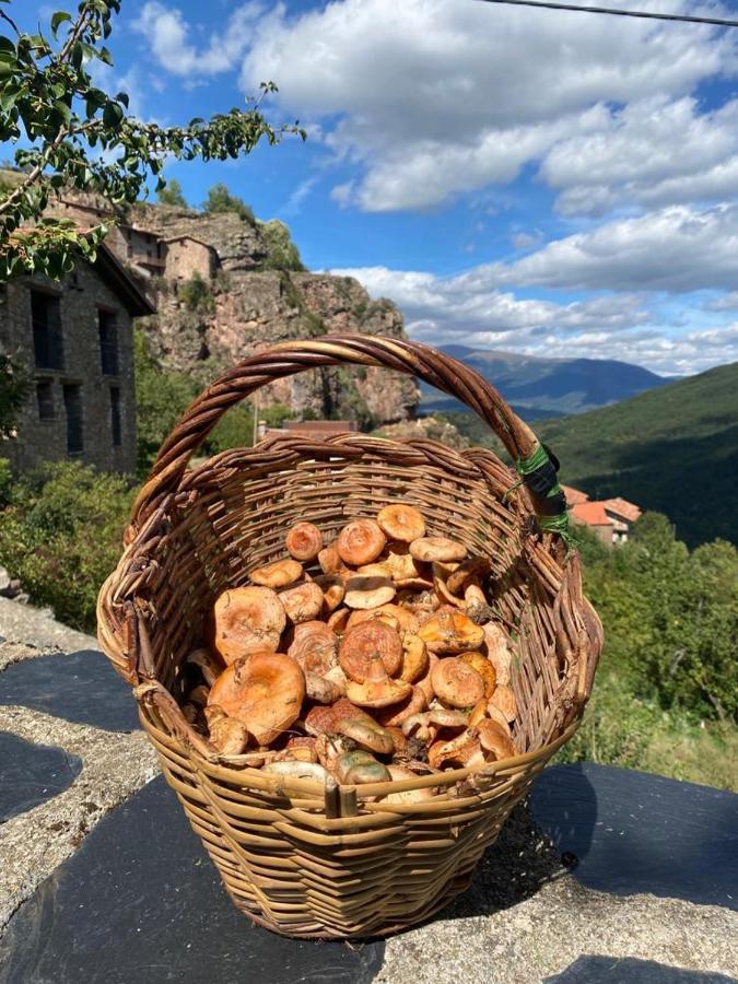 Вилла Cal Ferrer Habitatge Rural Cava Экстерьер фото