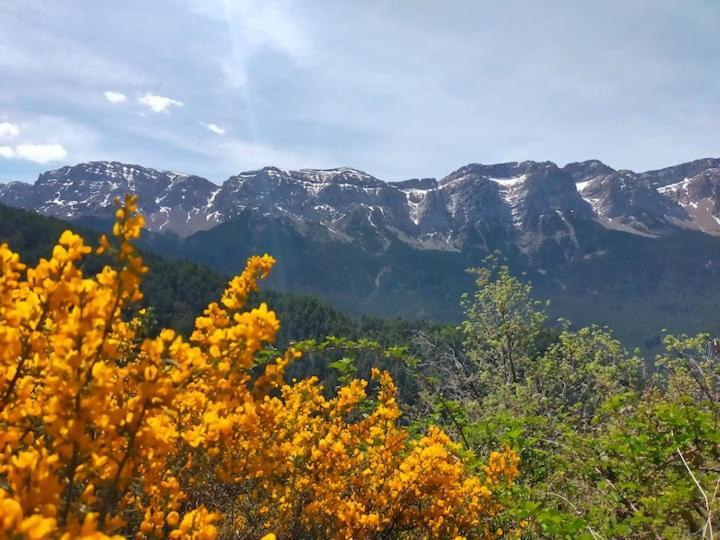 Вилла Cal Ferrer Habitatge Rural Cava Экстерьер фото