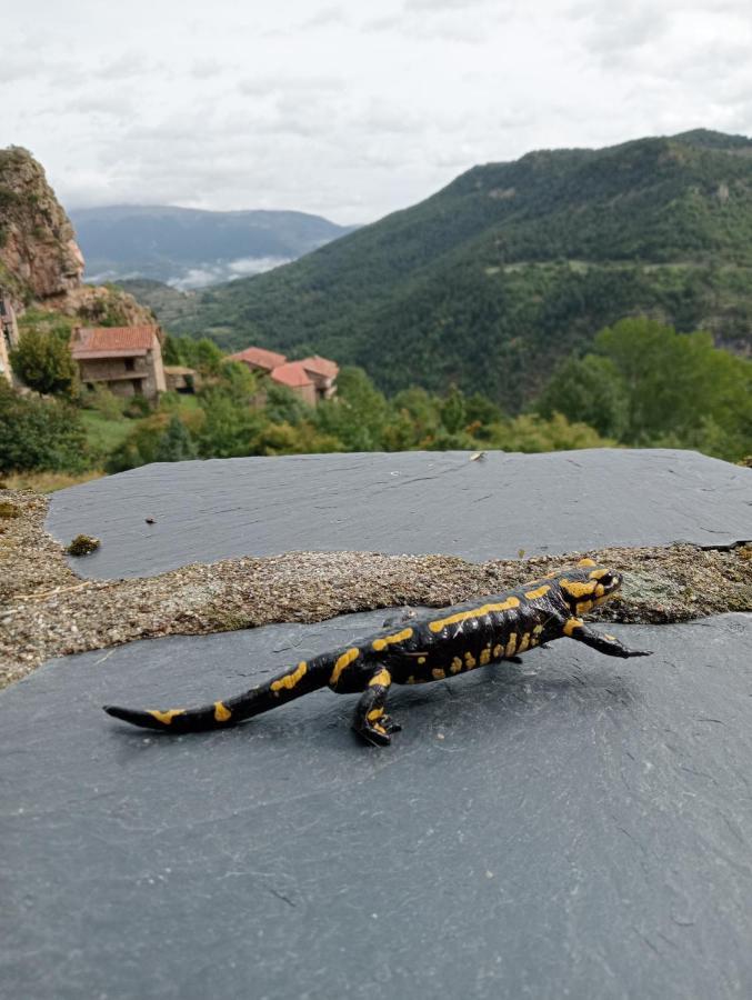 Вилла Cal Ferrer Habitatge Rural Cava Экстерьер фото